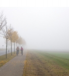© C. Hecker Paar radelt in Riedstadt im herbstlichen Nebel